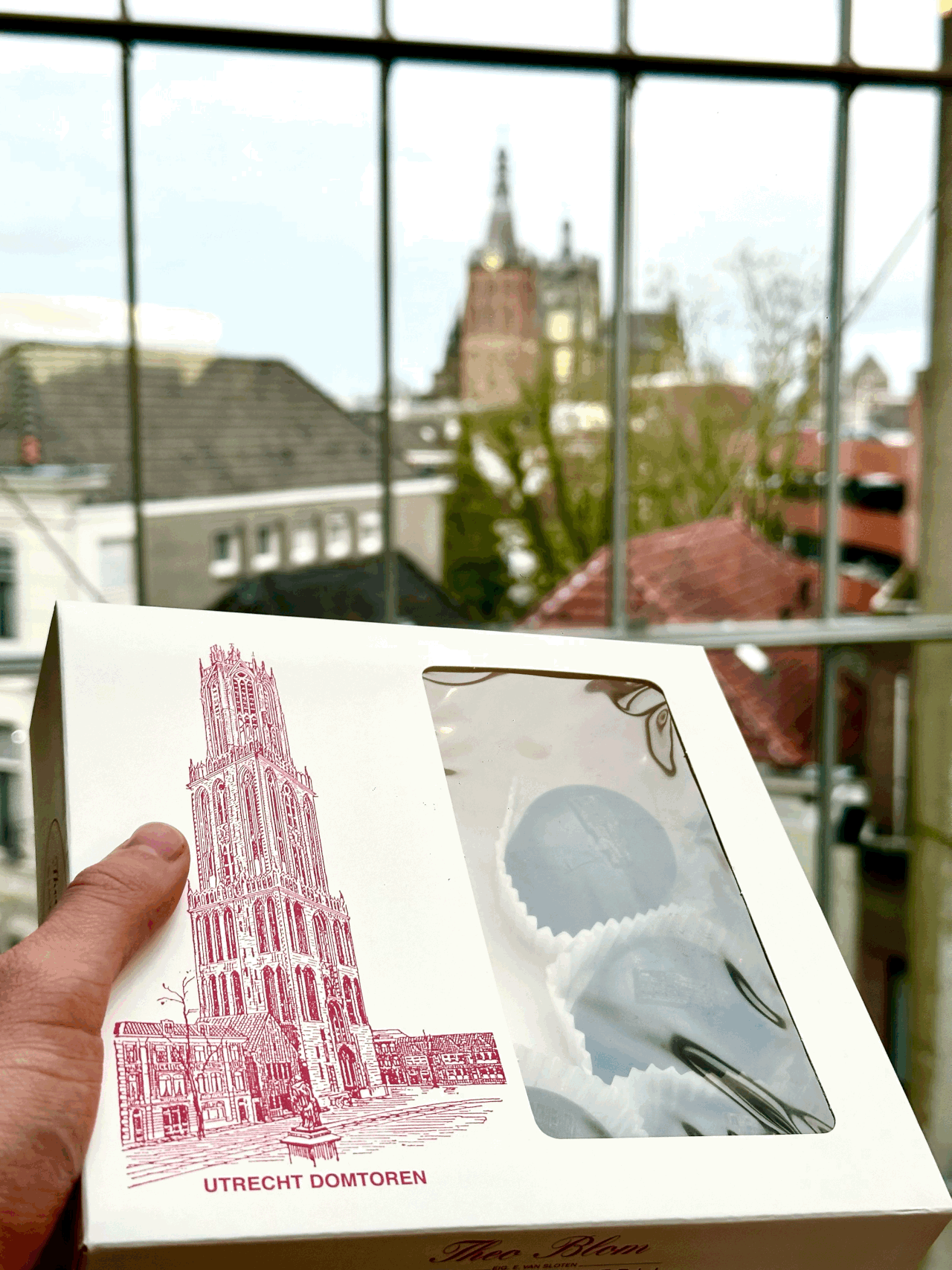 Foto domtoren shertogenboch